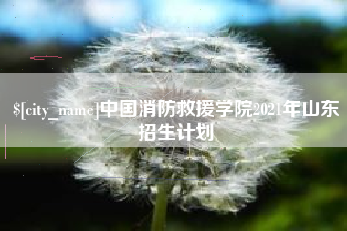 松滋中国消防救援学院2021年山东招生计划