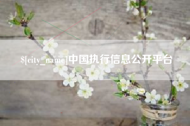 松滋中国执行信息公开平台