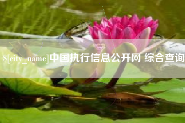 松滋中国执行信息公开网 综合查询