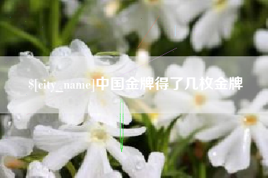 松滋中国金牌得了几枚金牌
