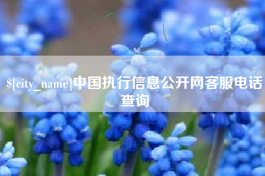 松滋中国执行信息公开网客服电话查询