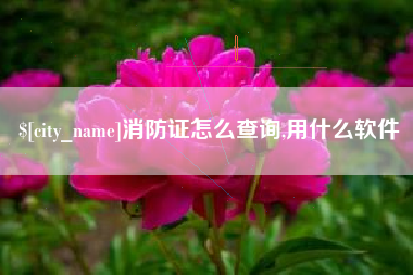 松滋消防证怎么查询,用什么软件