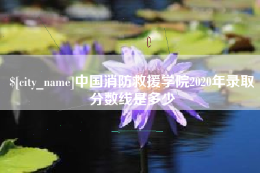 松滋中国消防救援学院2020年录取分数线是多少