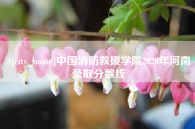 松滋中国消防救援学院2020年河南录取分数线