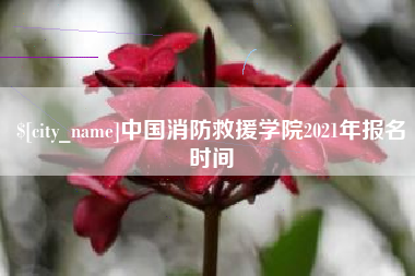 松滋中国消防救援学院2021年报名时间