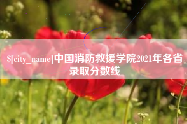 松滋中国消防救援学院2021年各省录取分数线
