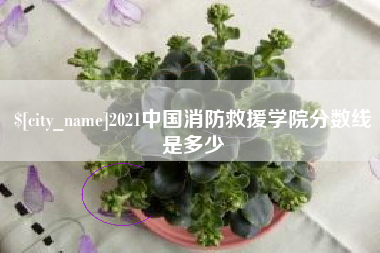 松滋2021中国消防救援学院分数线是多少