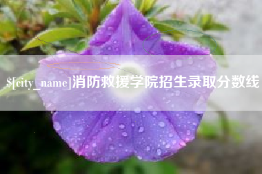 松滋消防救援学院招生录取分数线