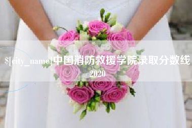 松滋中国消防救援学院录取分数线2020