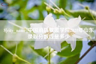 松滋中国消防救援学院2021年山东录取分数线是多少