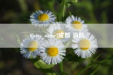 松滋成都 消防