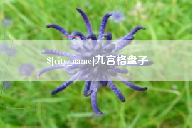 松滋九宫格盘子