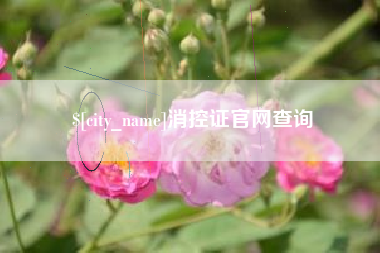 松滋消控证官网查询