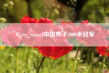 松滋中国男子5000米冠军