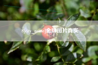 松滋金牌图片真实