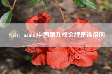 松滋中国第九枚金牌是谁得的