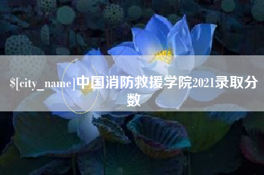 松滋中国消防救援学院2021录取分数