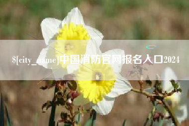 松滋中国消防官网报名入口2024