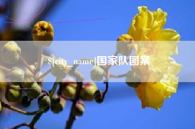 松滋国家队图案