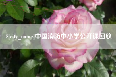 松滋中国消防中小学公开课回放