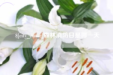 松滋森林消防日是哪一天
