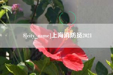 松滋上海消防员2021