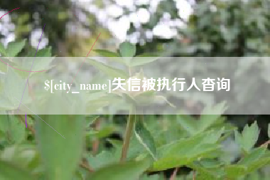 松滋失信被执行人杳询