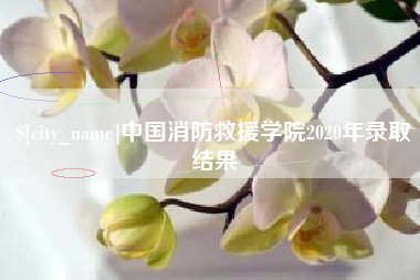 松滋中国消防救援学院2020年录取结果