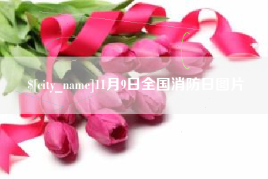 松滋11月9日全国消防日图片