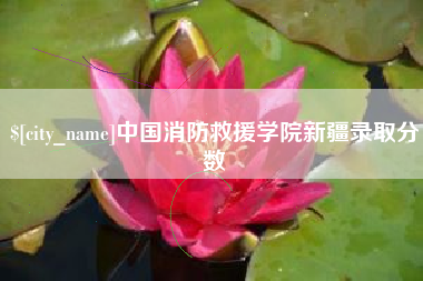 松滋中国消防救援学院新疆录取分数