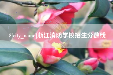 松滋浙江消防学校招生分数线