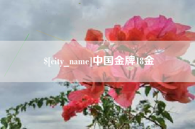 松滋中国金牌18金