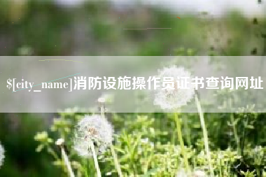 松滋消防设施操作员证书查询网址