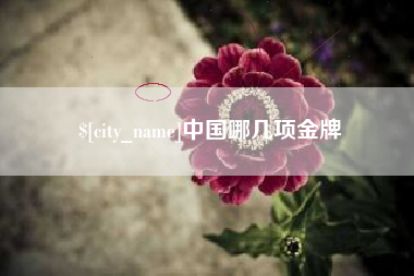 松滋中国哪几项金牌
