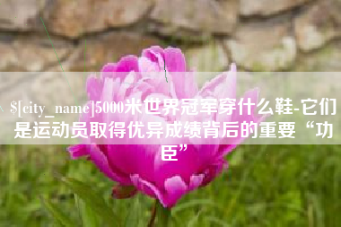 松滋5000米世界冠军穿什么鞋-它们是运动员取得优异成绩背后的重要“功臣”