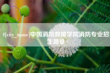 松滋中国消防救援学院消防专业招生简章