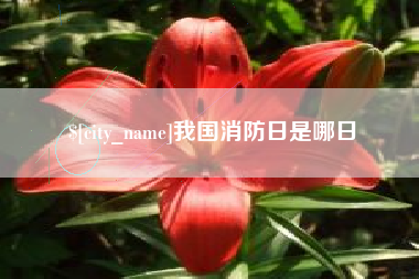 松滋我国消防日是哪日