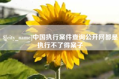 松滋中国执行案件查询公开网都是执行不了得案子