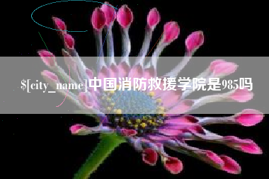 松滋中国消防救援学院是985吗