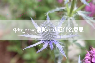 松滋消防ccc认证什么意思