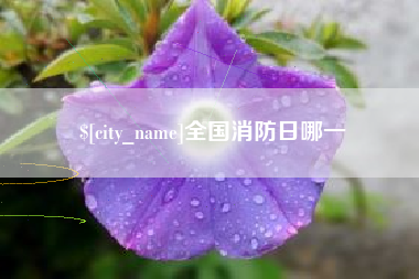 松滋全国消防日哪一
