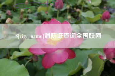 松滋消防证查询全国联网