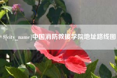 松滋中国消防救援学院地址路线图