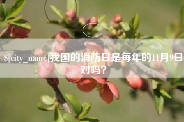 松滋我国的消防日是每年的11月9日对吗？