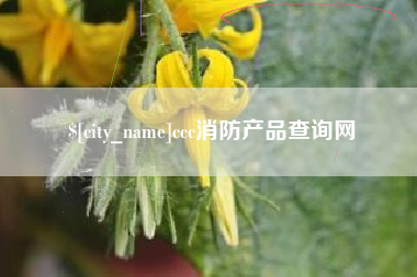 松滋ccc消防产品查询网