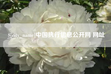 松滋中国执行信息公开网 网址