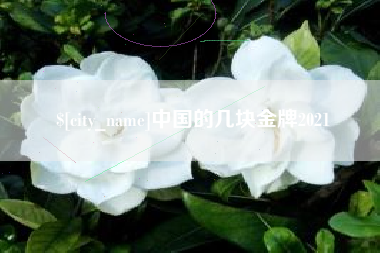 松滋中国的几块金牌2021