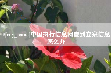 松滋中国执行信息网查到立案信息怎么办