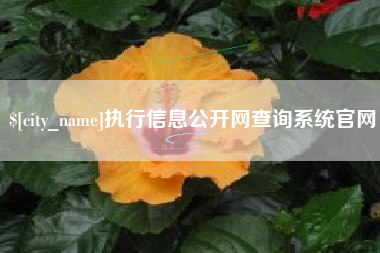 松滋执行信息公开网查询系统官网