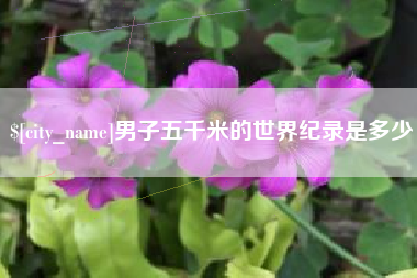 松滋男子五千米的世界纪录是多少